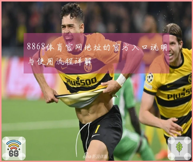 8868体育官网地址的官方入口说明与使用流程详解
