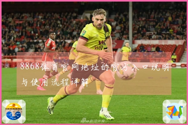 8868体育官网地址的官方入口说明与使用流程详解